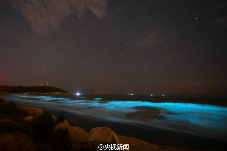 阴阳师