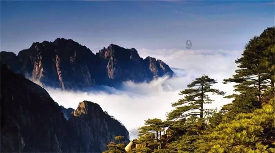 攀登高峰无敌版