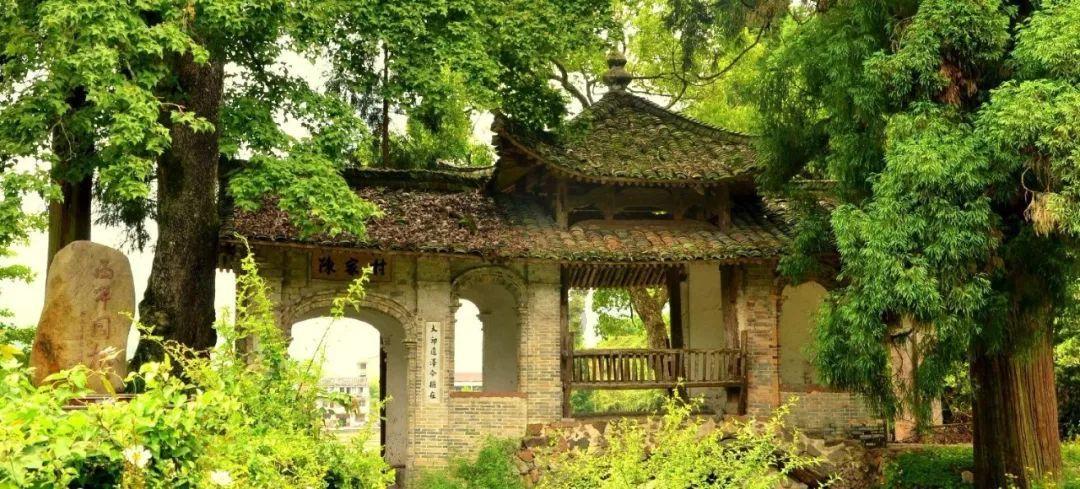 板栗怎么剥去外壳游戏画面