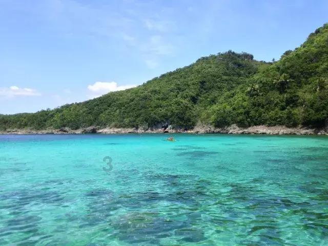 水煎包怎么做