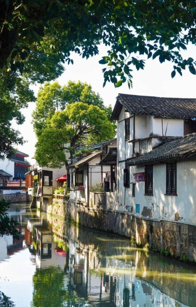 【淮阳海报】我居住的小城叫龙都，你来过吗